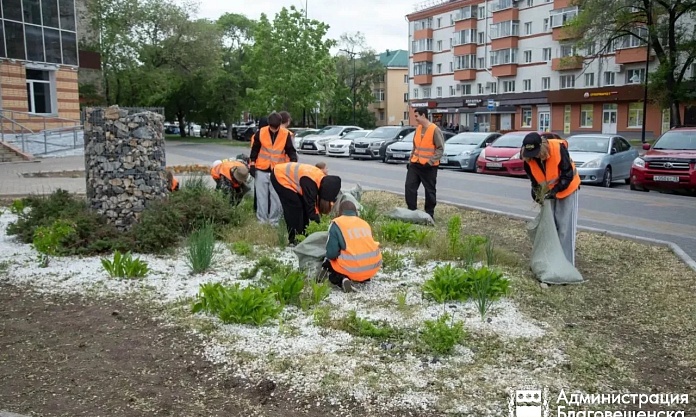 Первая трудовая смена для школьников от ГСТК подходит к концу