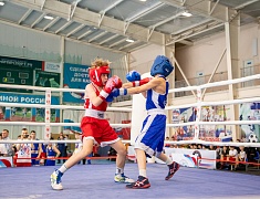 В спорткомплексе «Юность» стартовали соревнования по боксу среди юношей 13-14 лет