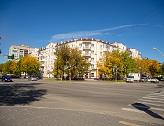 В Благовещенске приступили к осеннему озеленению