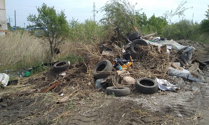 Почти полсотни несанкционированных свалок выявили в областном центре в этом году 