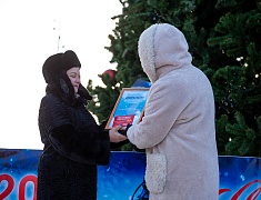 В Благовещенске подвели итоги конкурса снегозавров