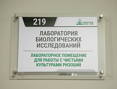 Молодёжь из Поднебесной знакомится с культурой России