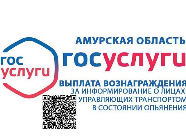 Госуслуги помогают бороться с нетрезвыми водителями: в Приамурье за сообщение о нарушителе заплатят 20 тысяч