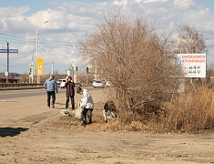 Волонтёры присоединились к экологической акции «Город берегу»
