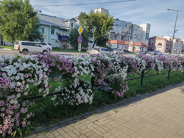 ГСТК украсил петуньями вход в Городской парк