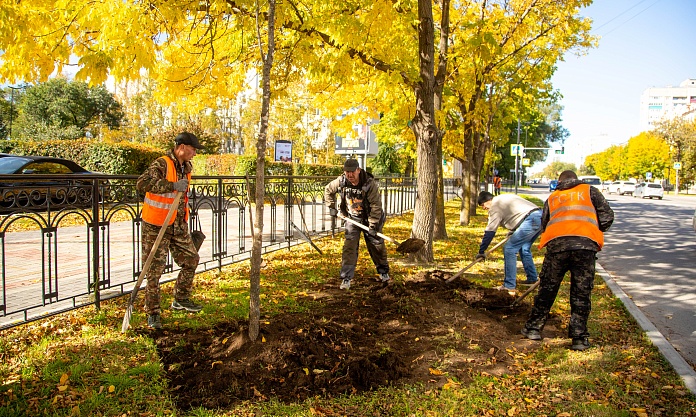 В Благовещенске приступили к осеннему озеленению