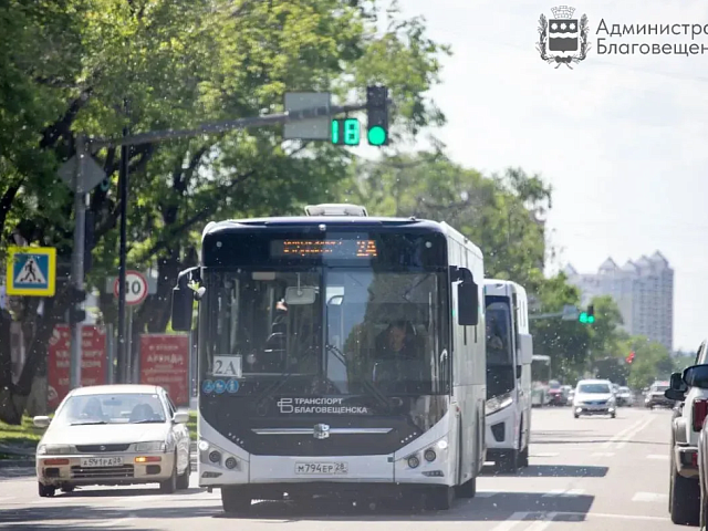 1 мая в Благовещенске запустят садовые маршруты 