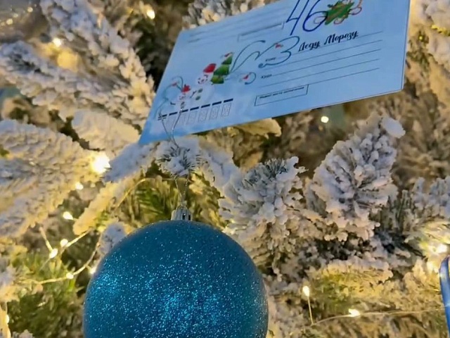 Мэр Благовещенска Олег Имамеев снял первое письмо с городской «Ёлки желаний» 