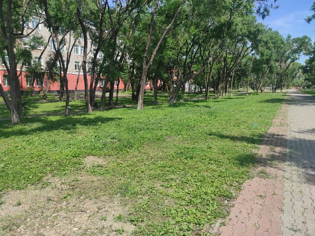 В Благовещенске идет сезонный покос травы