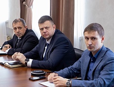 Мэр Благовещенска Олег Имамеев высказался о проблеме бродячих собак