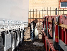 Волонтёры присоединились к экологической акции «Город берегу»