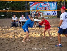 В Благовещенске отпраздновали День физкультурника