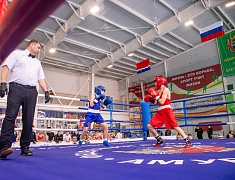 В амурской столице стартовало первенство ДФО по боксу