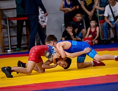 Первенство по вольной борьбе, посвященное памяти бойца СВО Владислава Мазуркова