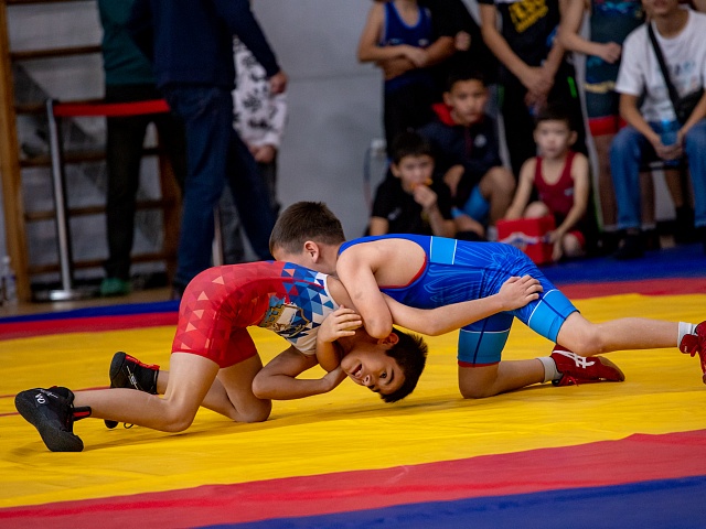 Первенство по вольной борьбе, посвященное памяти бойца СВО Владислава Мазуркова