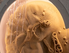 Первый интерактивный Динопарк на границе с Китаем открыли в Благовещенске
