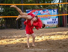 В Благовещенске отпраздновали День физкультурника