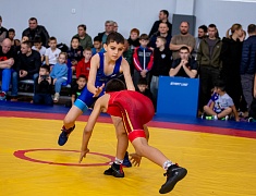 Первенство по вольной борьбе, посвященное памяти бойца СВО Владислава Мазуркова