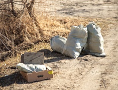 Волонтёры присоединились к экологической акции «Город берегу»