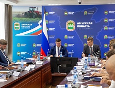 Благовещенск поделился опытом патриотического воспитания с Москвой