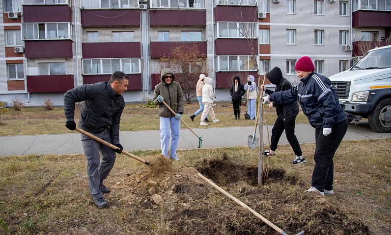 Зеленую аллею высадили на Муравьева-Амурского в Благовещенске 