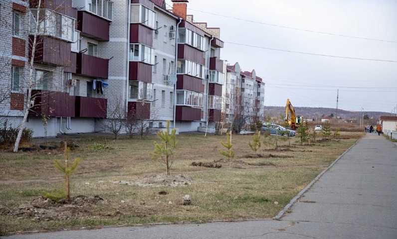 Зачем осенью высаживают саженцы? На этот вопрос ответили в городском управлении ЖКХ