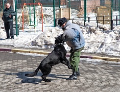 Школы Благовещенска принимают якутских юнармейцев