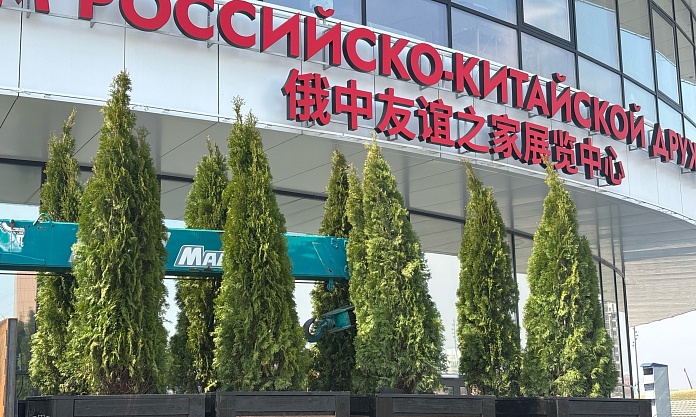 Территорию Трибуны Холл озеленили краснодарскими туями