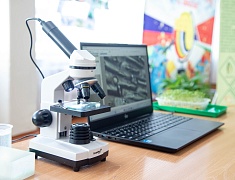 В Благовещенске прошел школьный агрослет - 2026