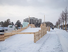 В Благовещенске приступили к монтажу главной новогодней ели