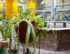 Школьники города смогли примерить на себя роль энергетиков Благовещенской ТЭЦ