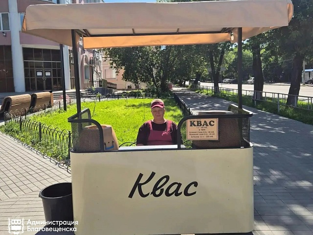 В Благовещенске появились 18 новых современных торговых точек с квасом и хот-догами