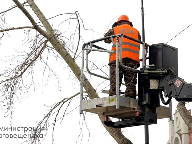 В Благовещенске с начала года привели в порядок больше ста деревьев 