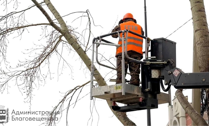 В Благовещенске с начала года привели в порядок больше ста деревьев 