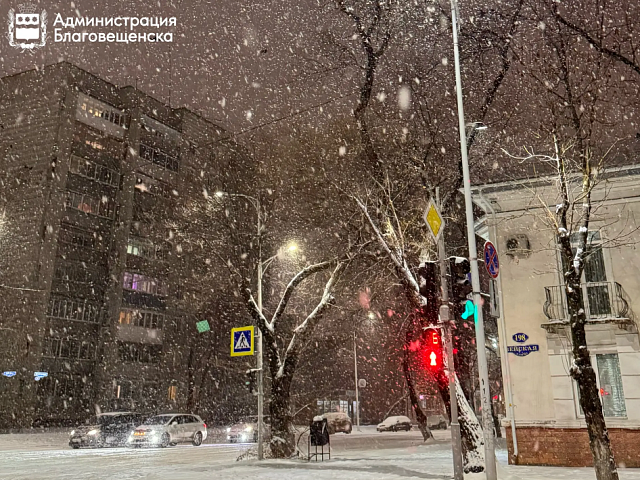 В Благовещенске 28 марта вводят режим повышенной готовности. В городе ожидаются осадки и сильный ветер 