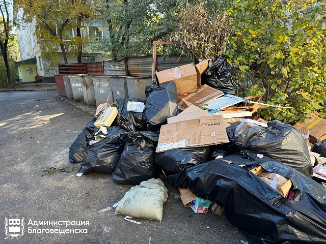 В Благовещенске провели мониторинг контейнерных площадок