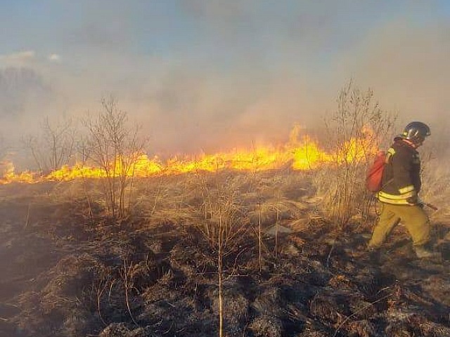 В Первомай пожарные тушили 3 пала в Благовещенске