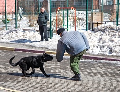 Школы Благовещенска принимают якутских юнармейцев