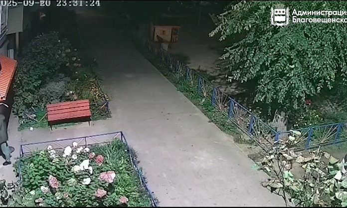 Полмиллиона за «наскальную живопись»: благовещенскому художнику-неудачнику предстоит заплатить немалую сумму за свои граффити