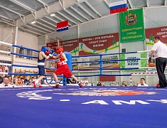 В амурской столице стартовало первенство ДФО по боксу