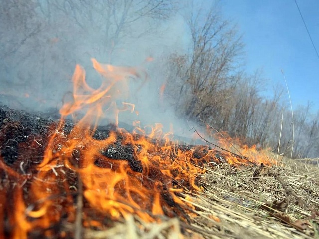 В Благовещенске и Благовещенском округе открыт пожароопасный сезон и установлен особый противопожарный режим